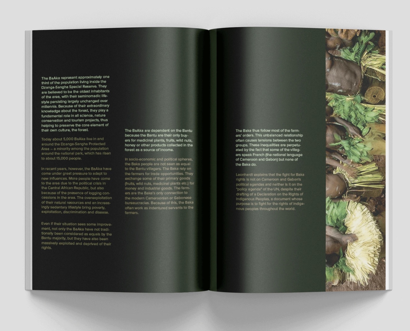 Spread: a text-led feature on deep green pages with forest photographs.
