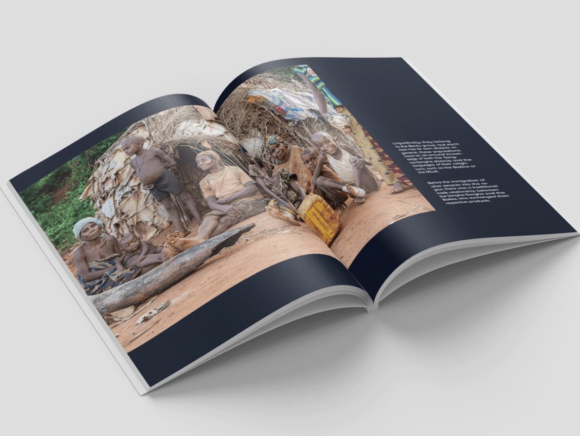 Printed mockup showing a rocky landscape spread.